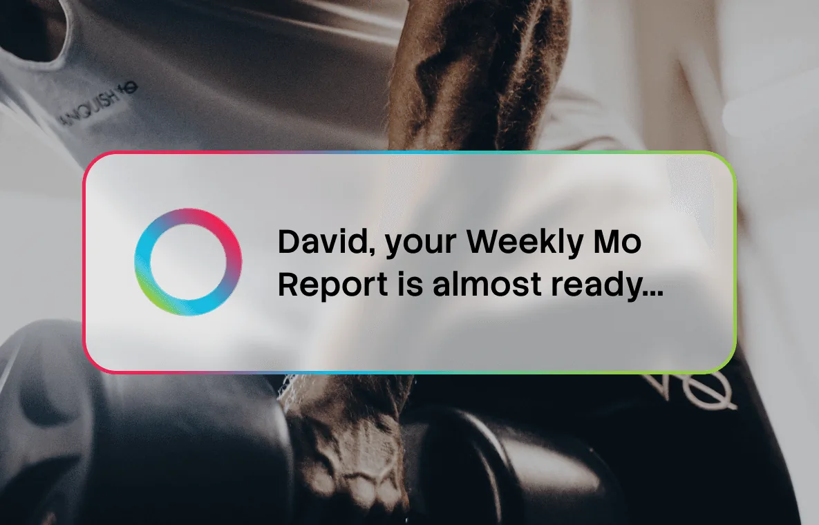 Your Week, Wrapped — The Mo Report